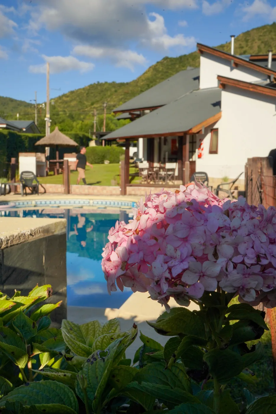 Pileta de Los Álamos rodeada de hortensias, con las sierras de fondo